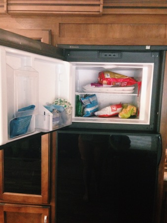 The freezer